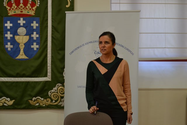 A presidenta do Parlamento de Galicia, Pilar Rojo